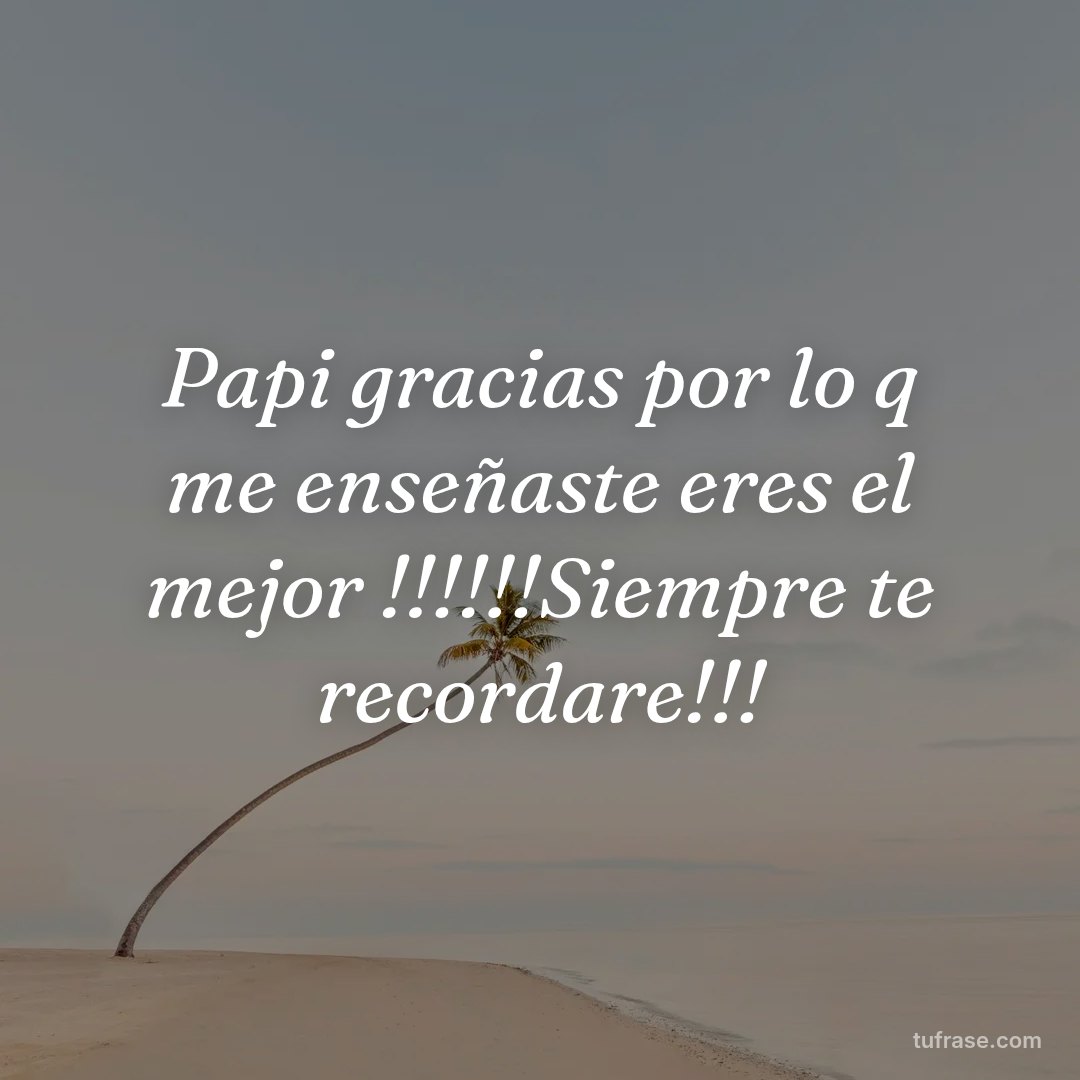 Papi gracias por lo q me enseñaste eres el mejor !!!!!!Siempre te recordare!!!