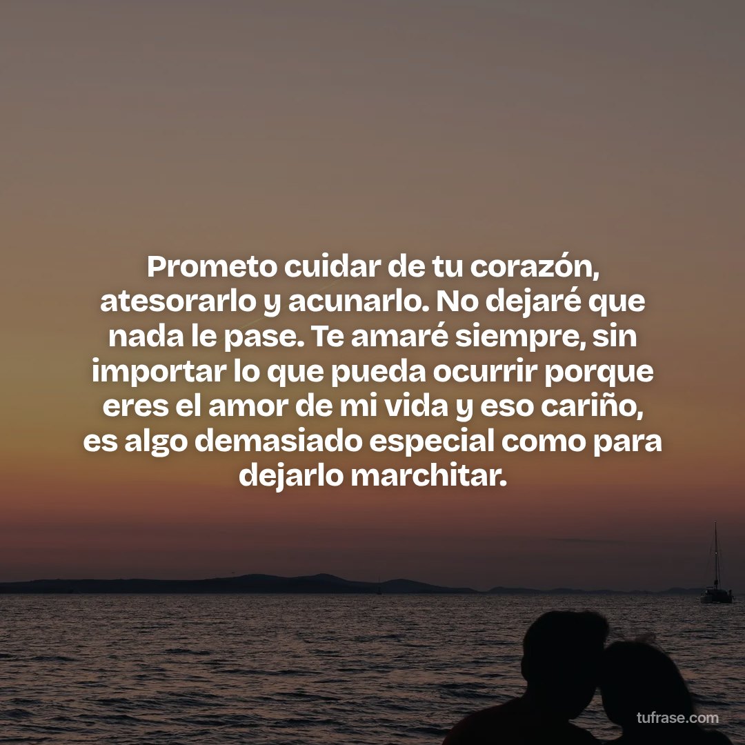 Prometo cuidar de tu corazón, atesorarlo y acunarlo. No dejaré que nada le pase. Te amaré siempre, sin importar lo que pueda ocurrir porque eres el amor de mi vida y eso cariño, es algo demasiado especial como para dejarlo marchitar.