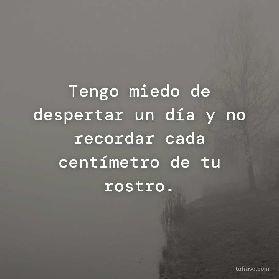 Tengo miedo de despertar un día y no recordar cada centímetro de tu rostro.