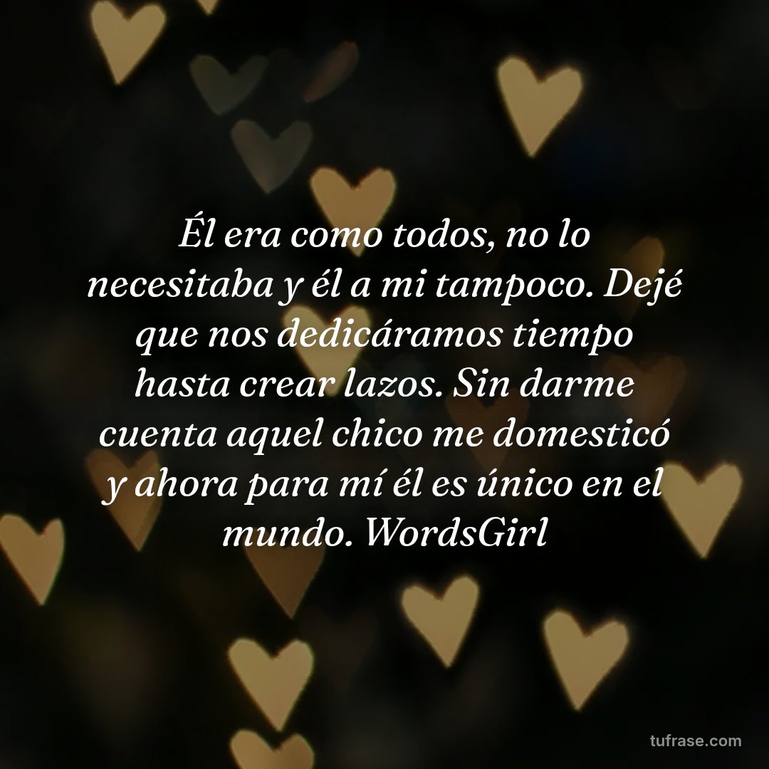 Él era como todos, no lo necesitaba y él a mi tampoco. Dejé que nos dedicáramos tiempo hasta crear lazos. Sin darme cuenta aquel chico me domesticó y ahora para mí él es único en el mundo. WordsGirl