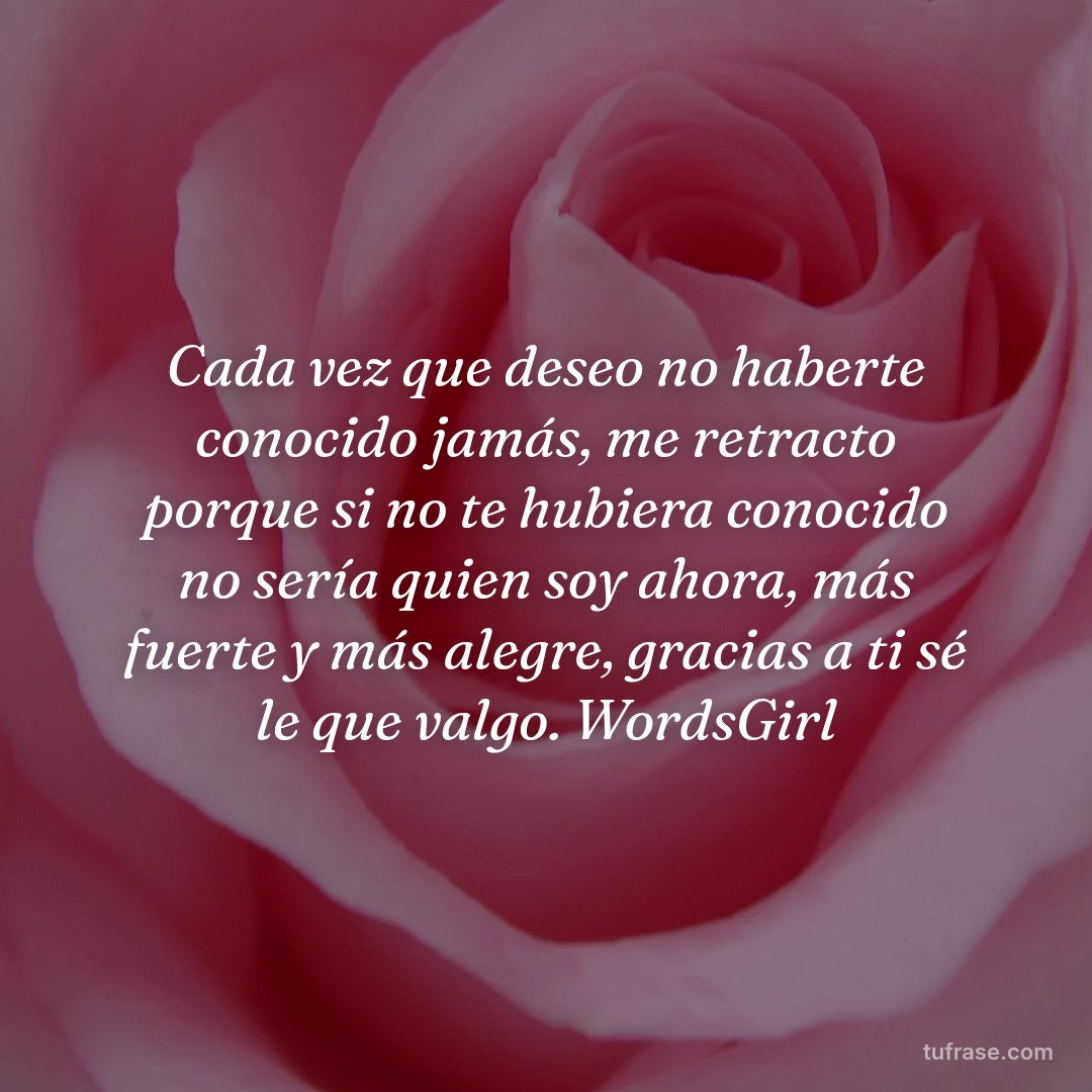 Cada vez que deseo no haberte conocido jamás, me retracto porque si no te hubiera conocido no sería quien soy ahora, más fuerte y más alegre, gracias a ti sé le que valgo. WordsGirl