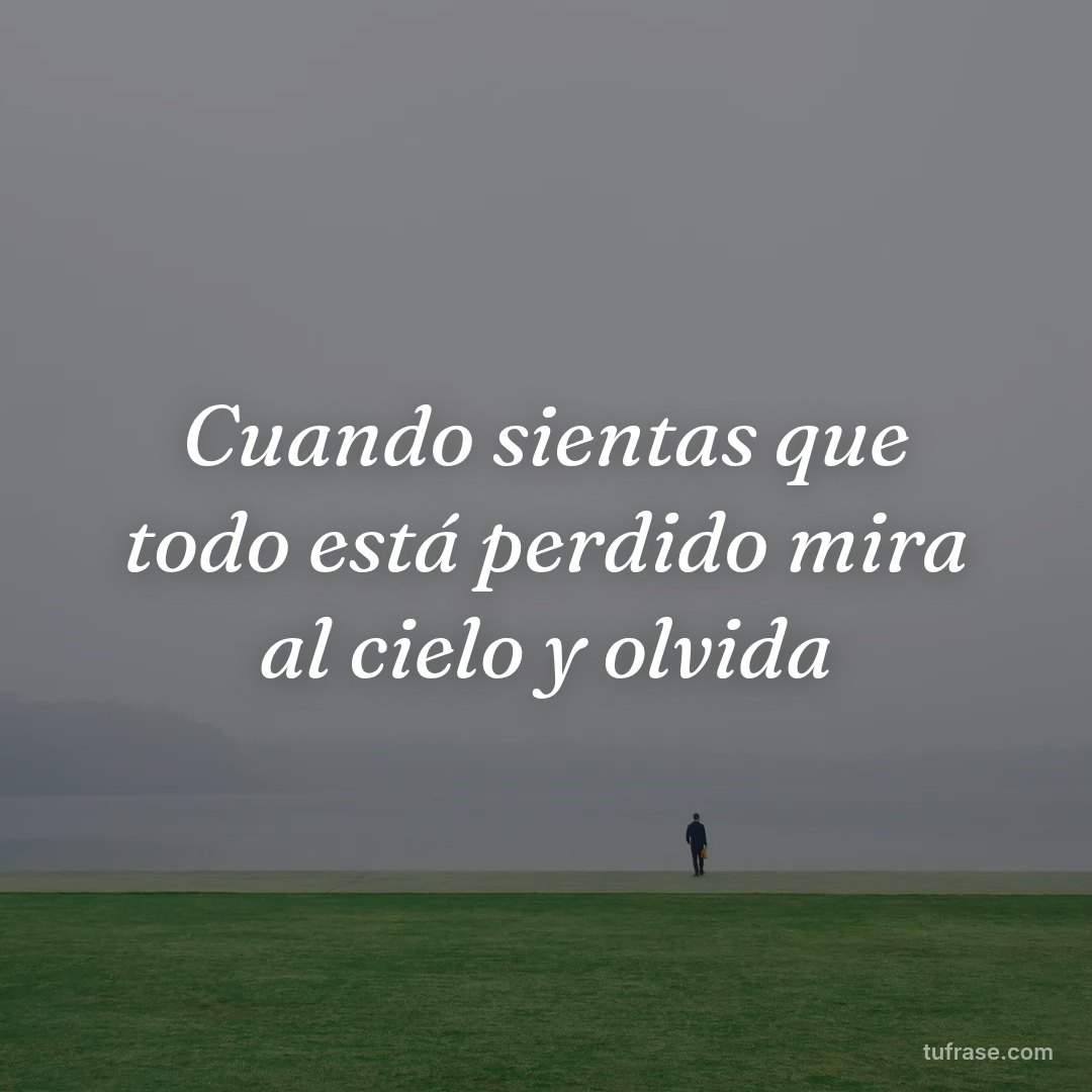Cuando sientas que todo está perdido mira al cielo y olvida