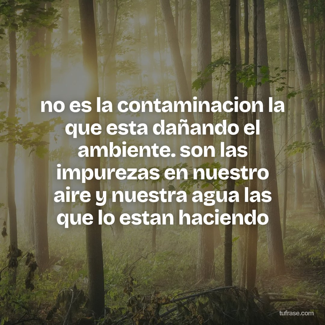 no es la contaminacion la que esta dañando el ambiente. son las impurezas en nuestro aire y nuestra agua las que lo estan haciendo