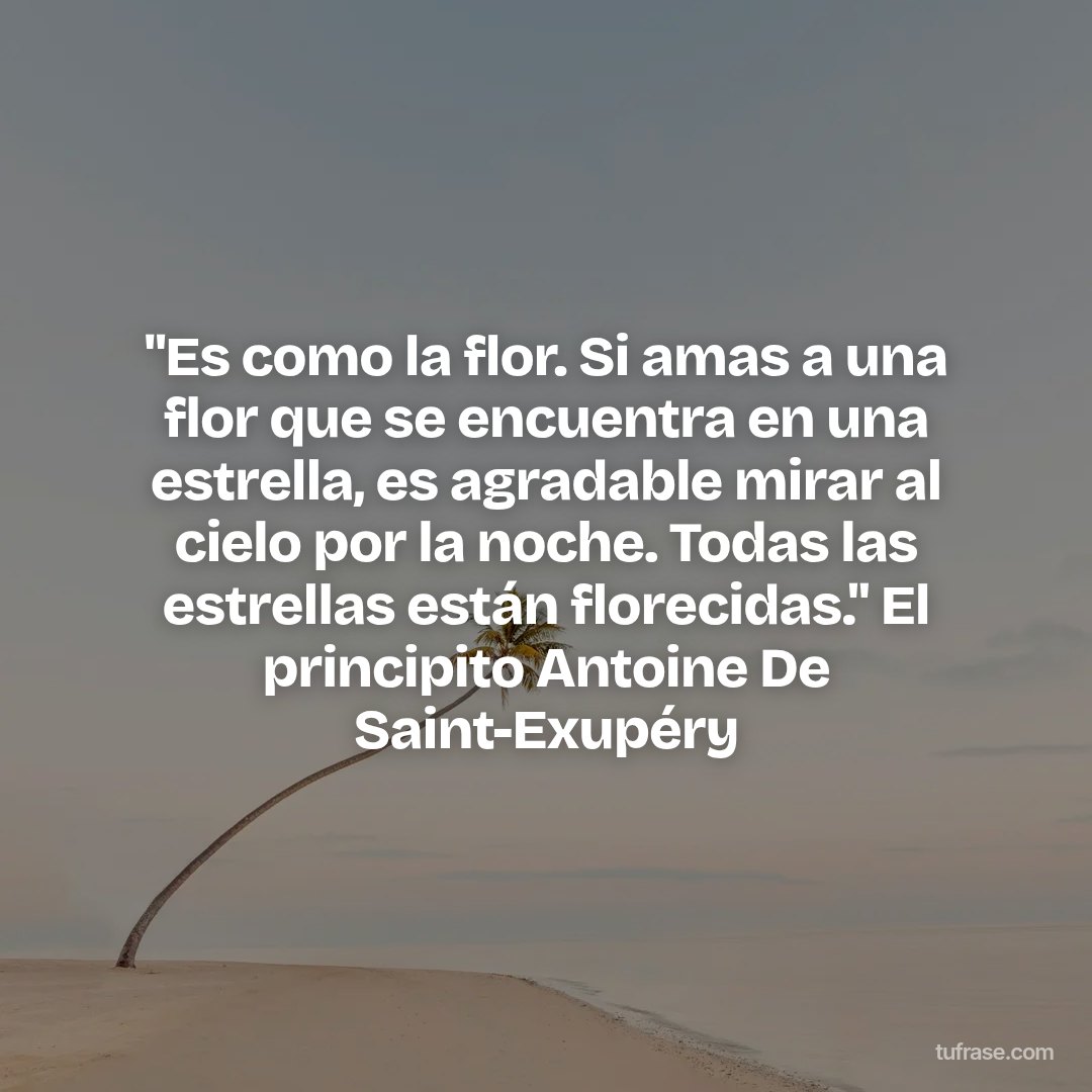 "Es como la flor. Si amas a una flor que se encuentra en una estrella, es agradable mirar al cielo por la noche. Todas las estrellas están florecidas." El principito Antoine De Saint-Exupéry