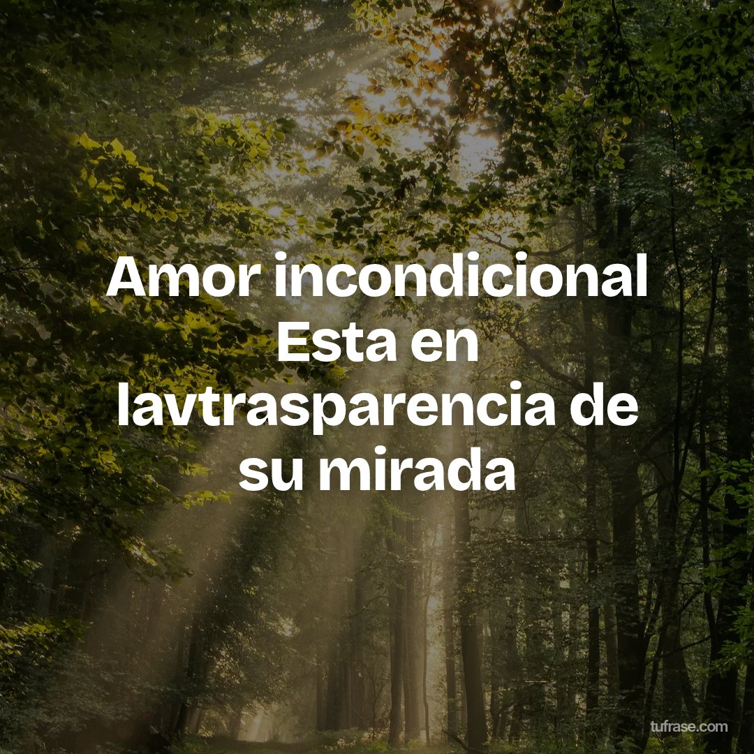 Amor incondicional Esta en lavtrasparencia de su mirada