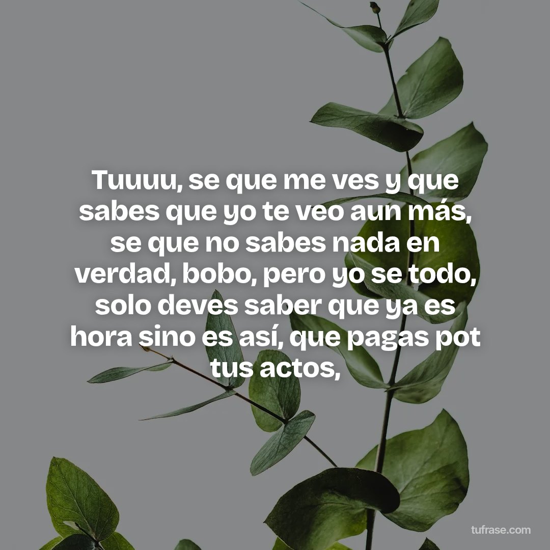 Tuuuu, se que me ves y que sabes que yo te veo aun más, se que no sabes nada en verdad, bobo, pero yo se todo, solo deves saber que ya es hora sino es así, que pagas pot tus actos,