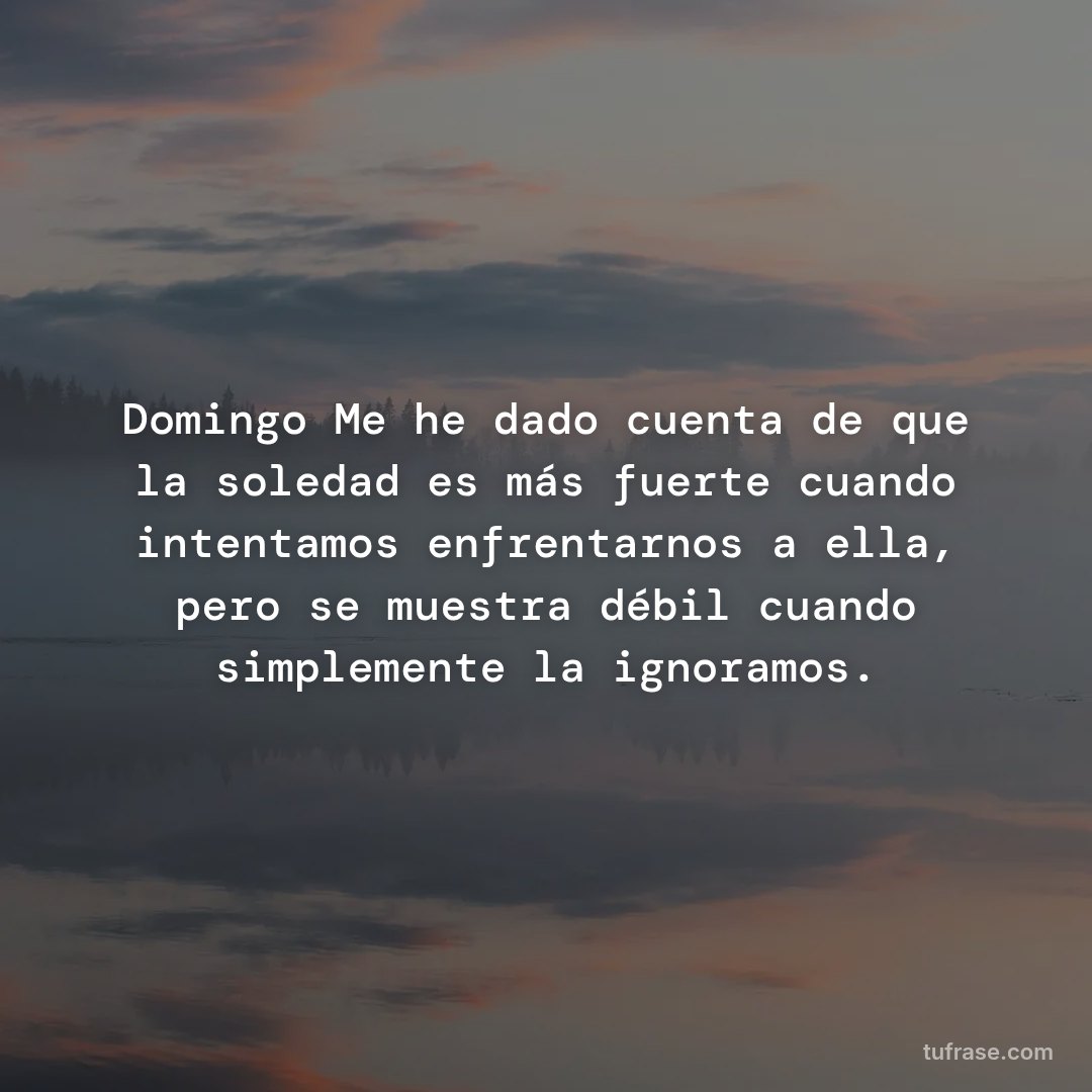 Domingo Me he dado cuenta de que la soledad es más fuerte cuando intentamos enfrentarnos a ella, pero se muestra débil cuando simplemente la ignoramos.