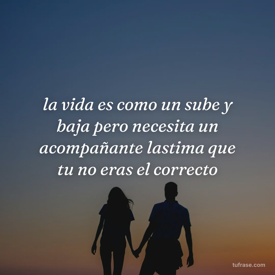 la vida es como un sube y baja pero necesita un acompañante lastima que tu no eras el correcto