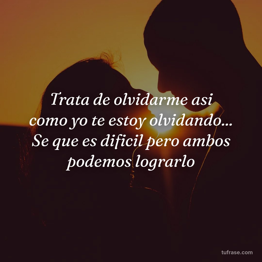 Trata de olvidarme asi como yo te estoy olvidando... Se que es dificil pero ambos podemos lograrlo