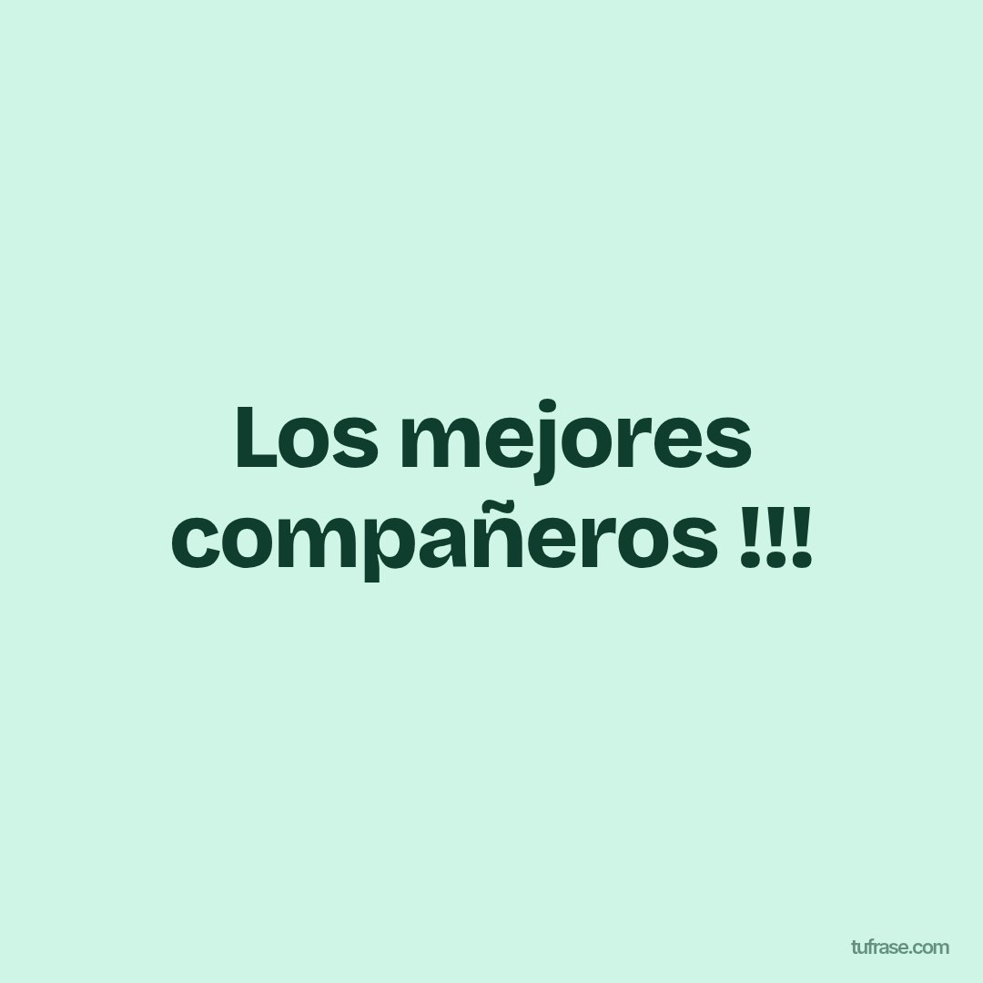 Los mejores compañeros !!!