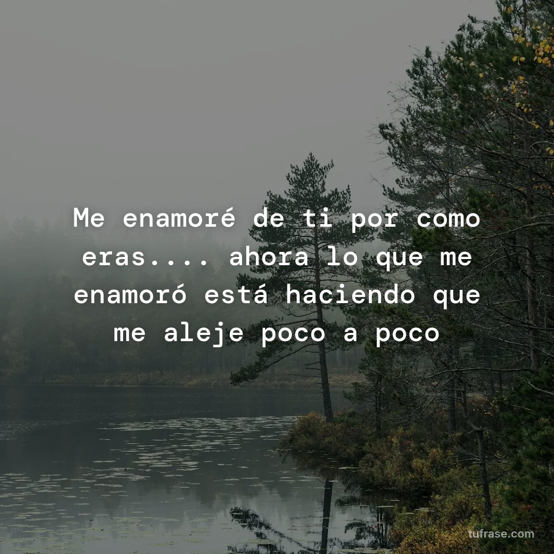 Me enamoré de ti por como eras.... ahora lo que me enamoró está haciendo que me aleje poco a poco