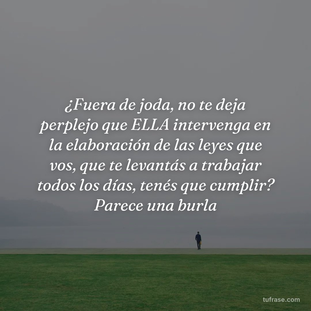 ¿Fuera de joda, no te deja perplejo que ELLA intervenga en la elaboración de las leyes que vos, que te levantás a trabajar todos los días, tenés que cumplir? Parece una burla