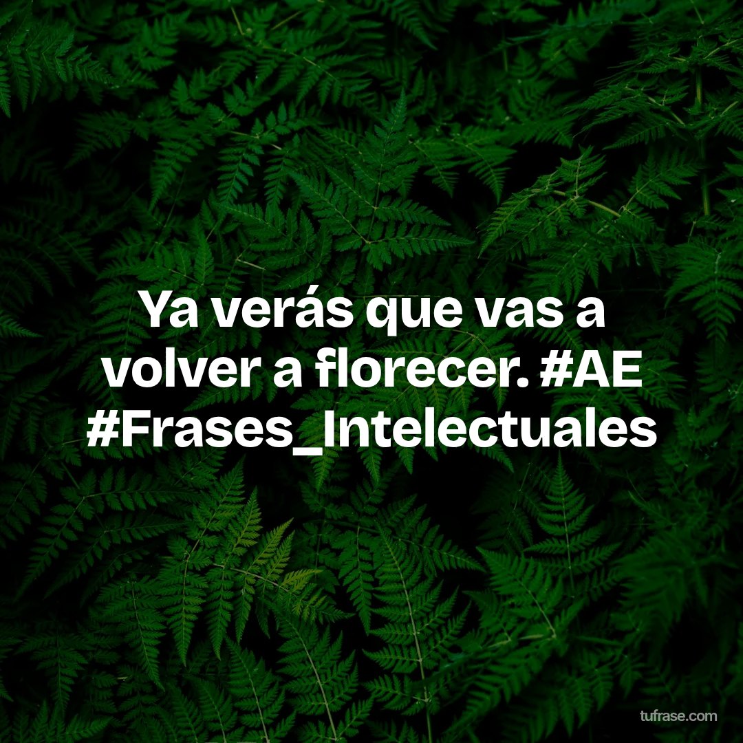 Ya verás que vas a volver a florecer. #AE #Frases_Intelectuales