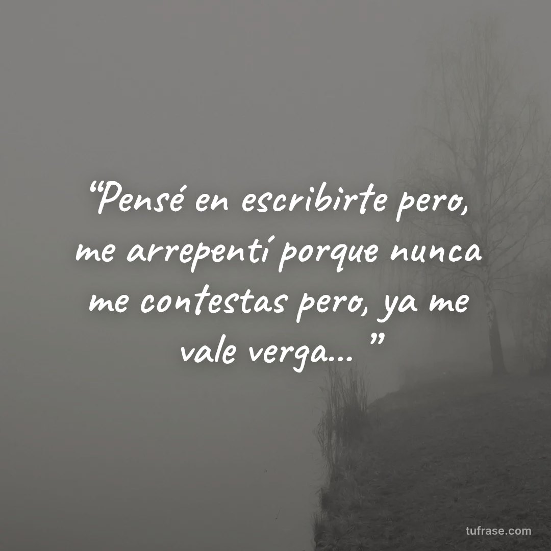 “Pensé en escribirte pero, me arrepentí porque nunca me contestas pero, ya me vale verga... ”