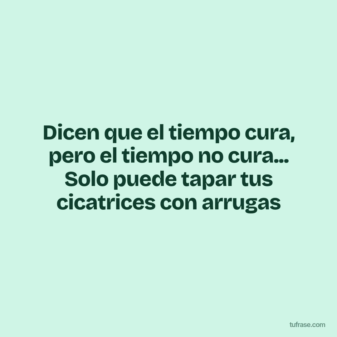 Dicen que el tiempo cura, pero el tiempo no cura... Solo puede tapar tus cicatrices con arrugas
