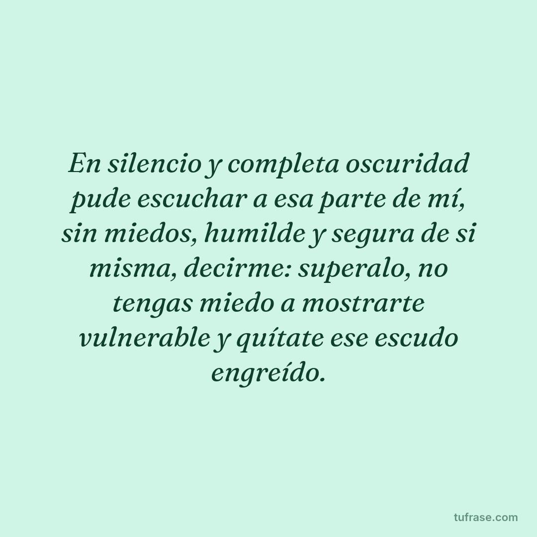 En silencio y completa oscuridad pude escuchar a esa parte de mí, sin miedos, humilde y segura de si misma, decirme: superalo, no tengas miedo a mostrarte vulnerable y quítate ese escudo engreído.