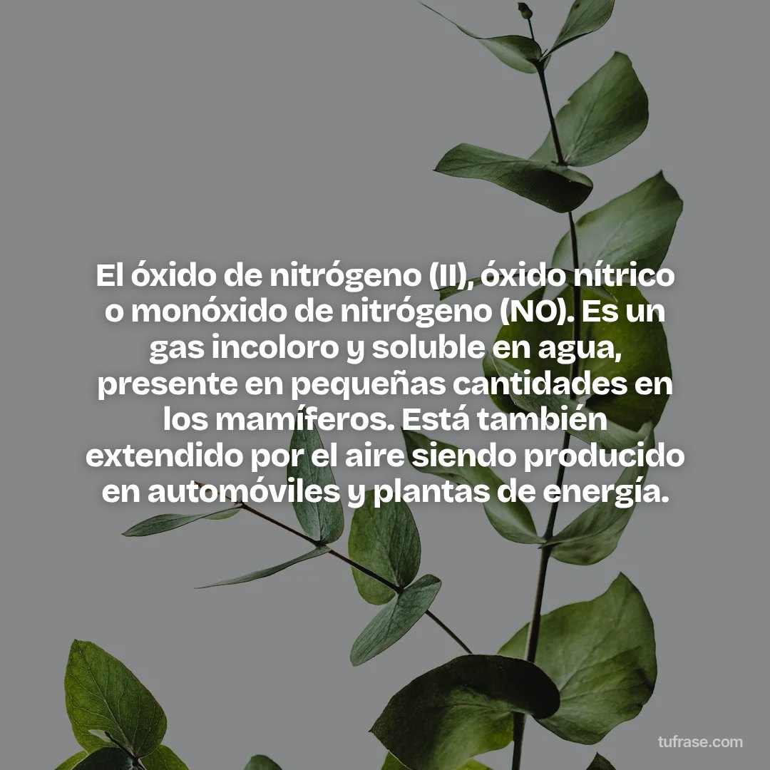 El óxido de nitrógeno (II), óxido nítrico​ o monóxido de nitrógeno (NO). Es un gas incoloro y soluble en agua, presente en pequeñas cantidades en los mamíferos. Está también extendido por el aire siendo producido en automóviles y plantas de energía.