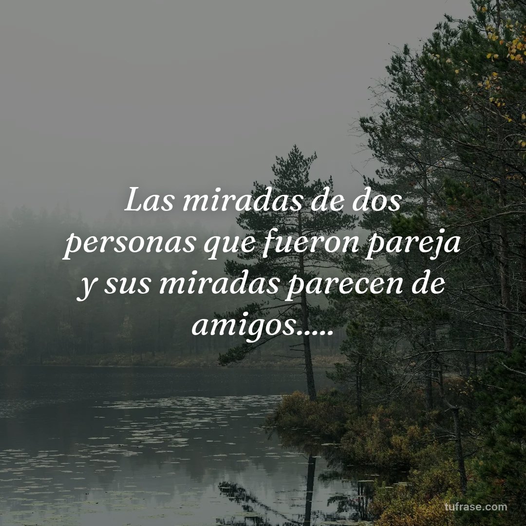 Las miradas de dos personas que fueron pareja y sus miradas parecen de amigos.....