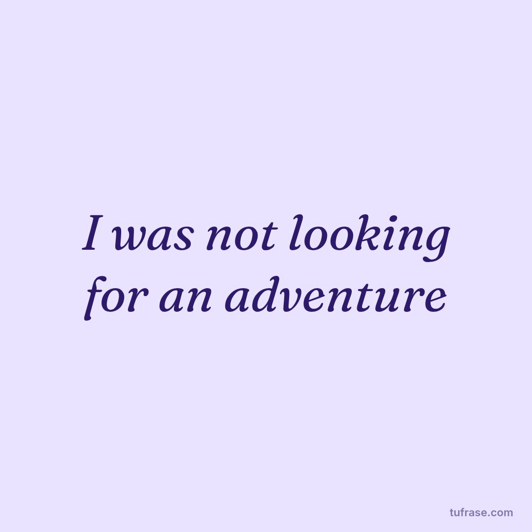 I was not looking for an adventure