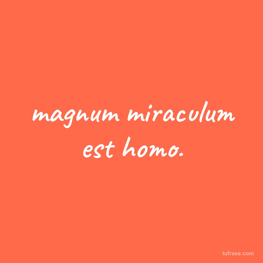 magnum miraculum est homo.
