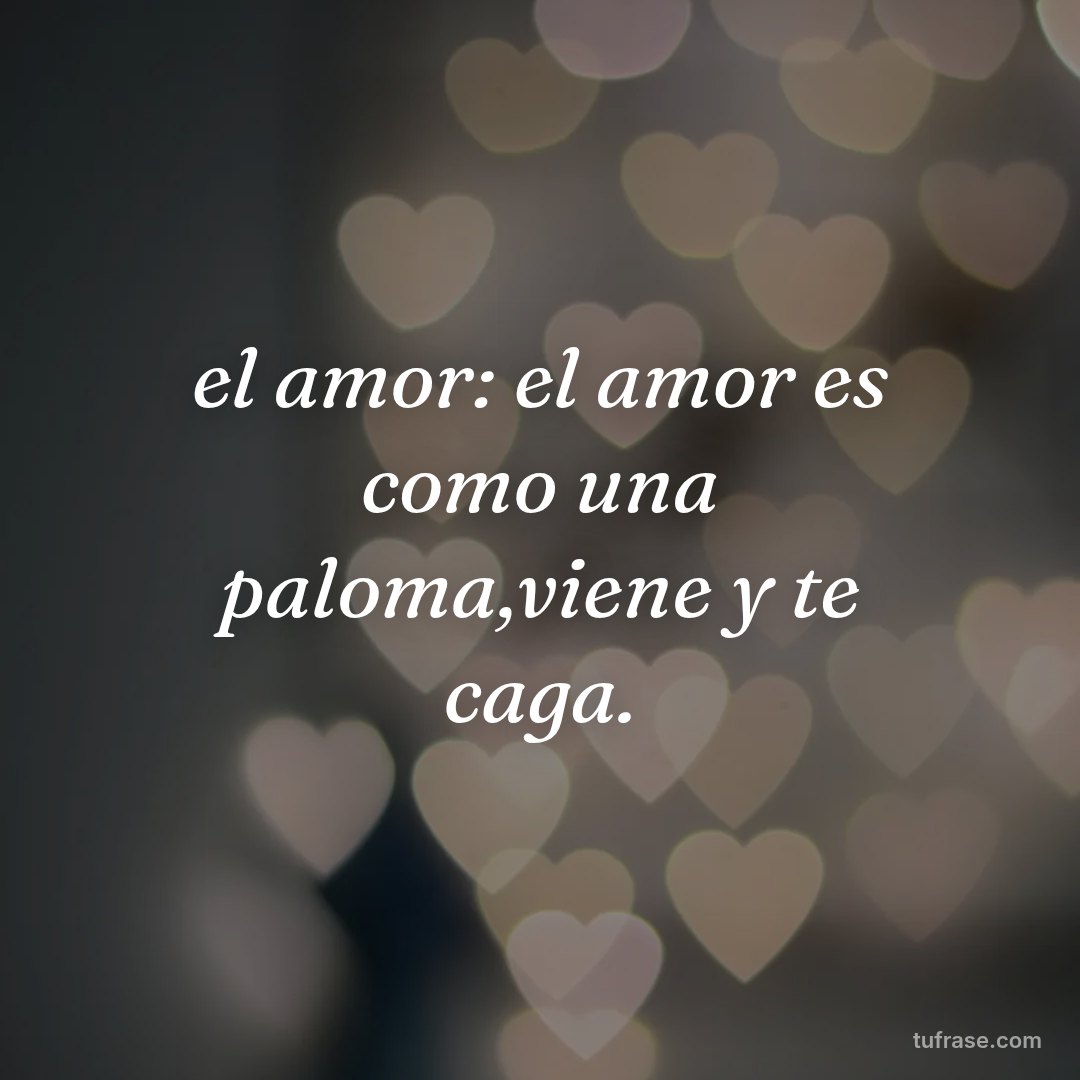 el amor: el amor es como una paloma,viene y te caga.