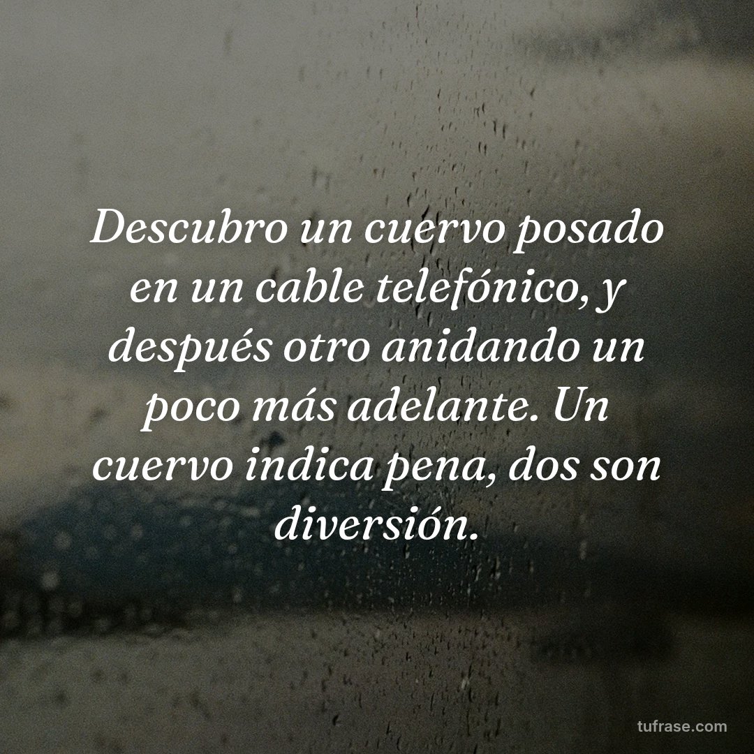 Descubro un cuervo posado en un cable telefónico, y después otro anidando un poco más adelante. Un cuervo indica pena, dos son diversión.