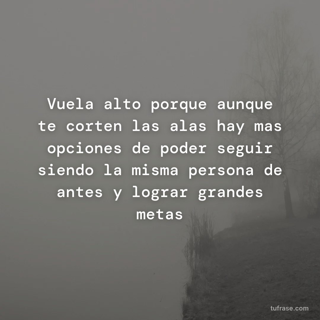 Vuela alto porque aunque te corten las alas hay mas opciones de poder seguir siendo la misma persona de antes y lograr grandes metas
