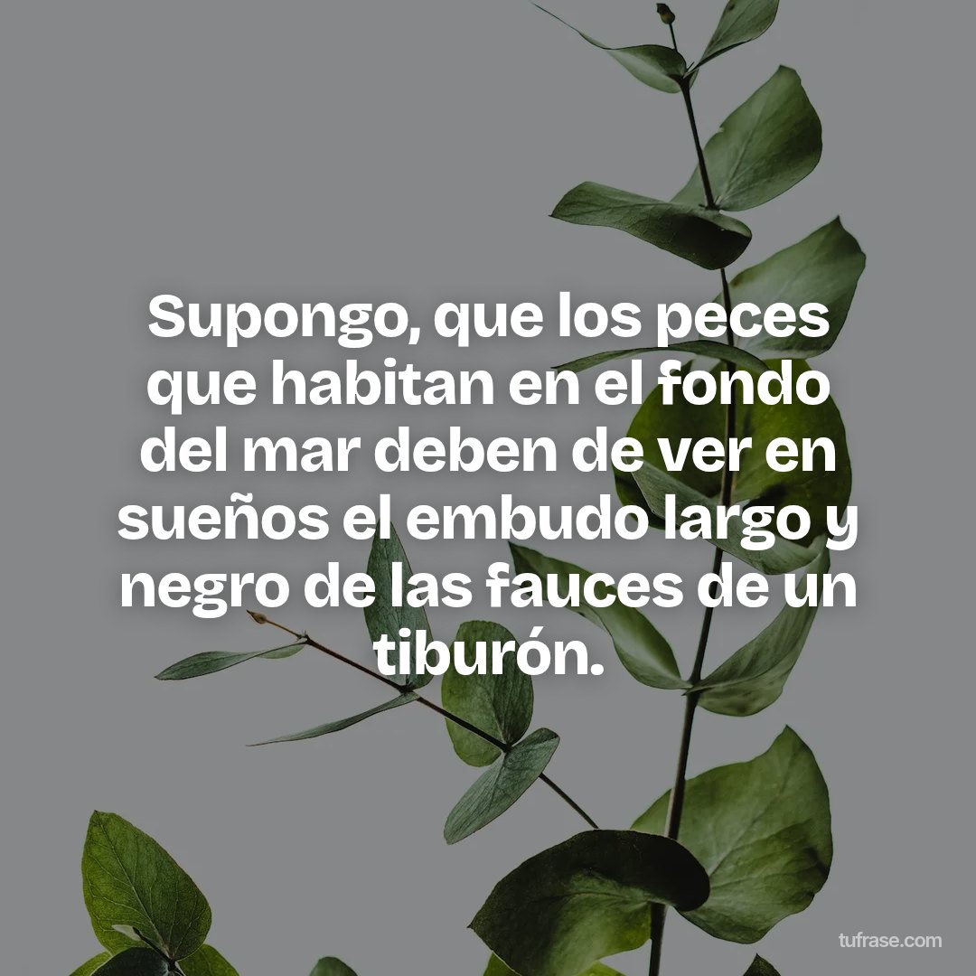 Supongo, que los peces que habitan en el fondo del mar deben de ver en sueños el embudo largo y negro de las fauces de un tiburón.
