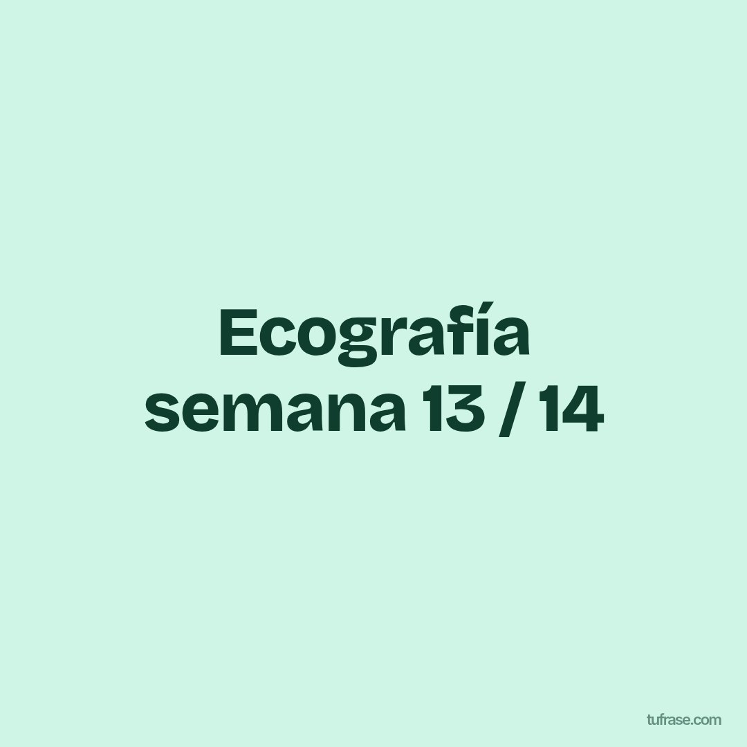 Ecografía semana 13 / 14