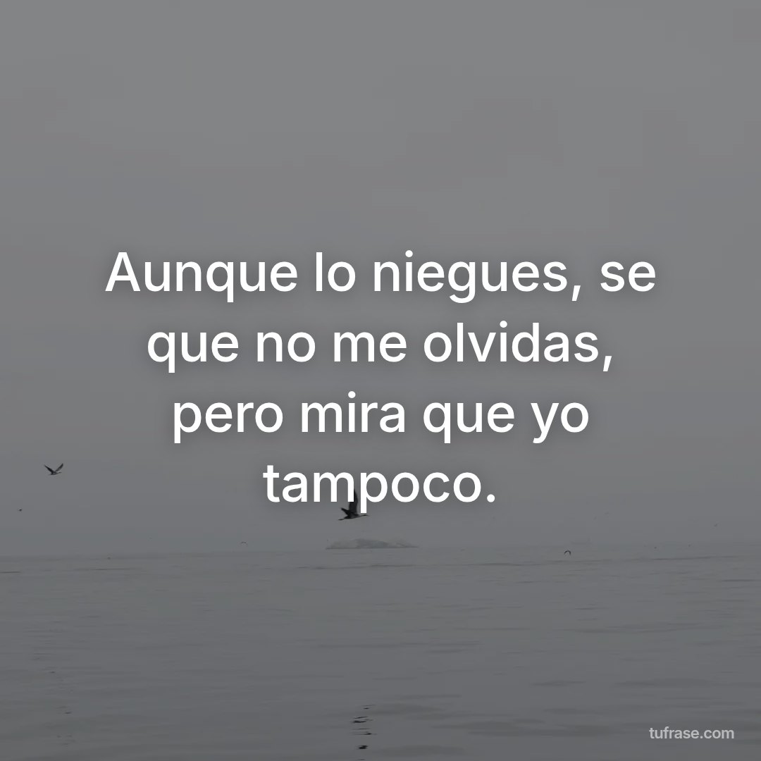 Aunque lo niegues, se que no me olvidas, pero mira que yo tampoco.