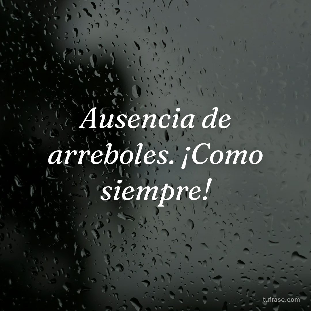 Ausencia de arreboles. ¡Como siempre!