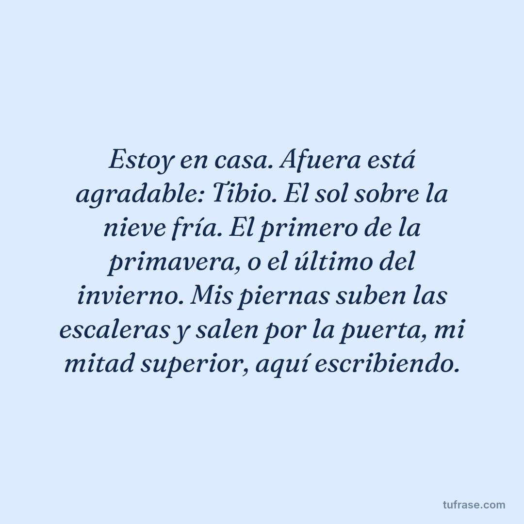 Estoy en casa. Afuera está agradable: Tibio. El sol sobre la nieve fría. El primero de la primavera, o el último del invierno. Mis piernas suben las escaleras y salen por la puerta, mi mitad superior, aquí escribiendo.