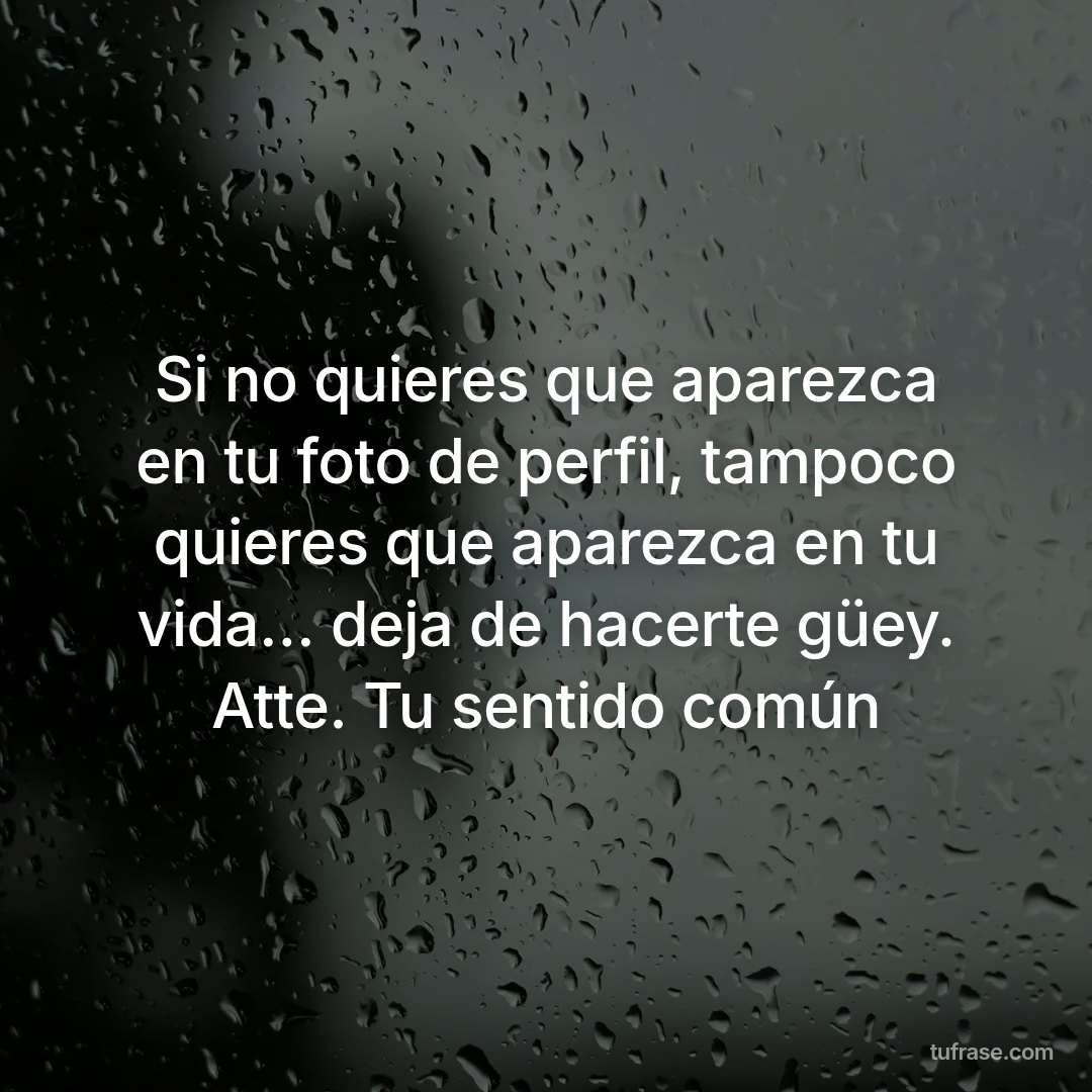 Si no quieres que aparezca en tu foto de perfil, tampoco quieres que aparezca en tu vida… deja de hacerte güey. Atte. Tu sentido común