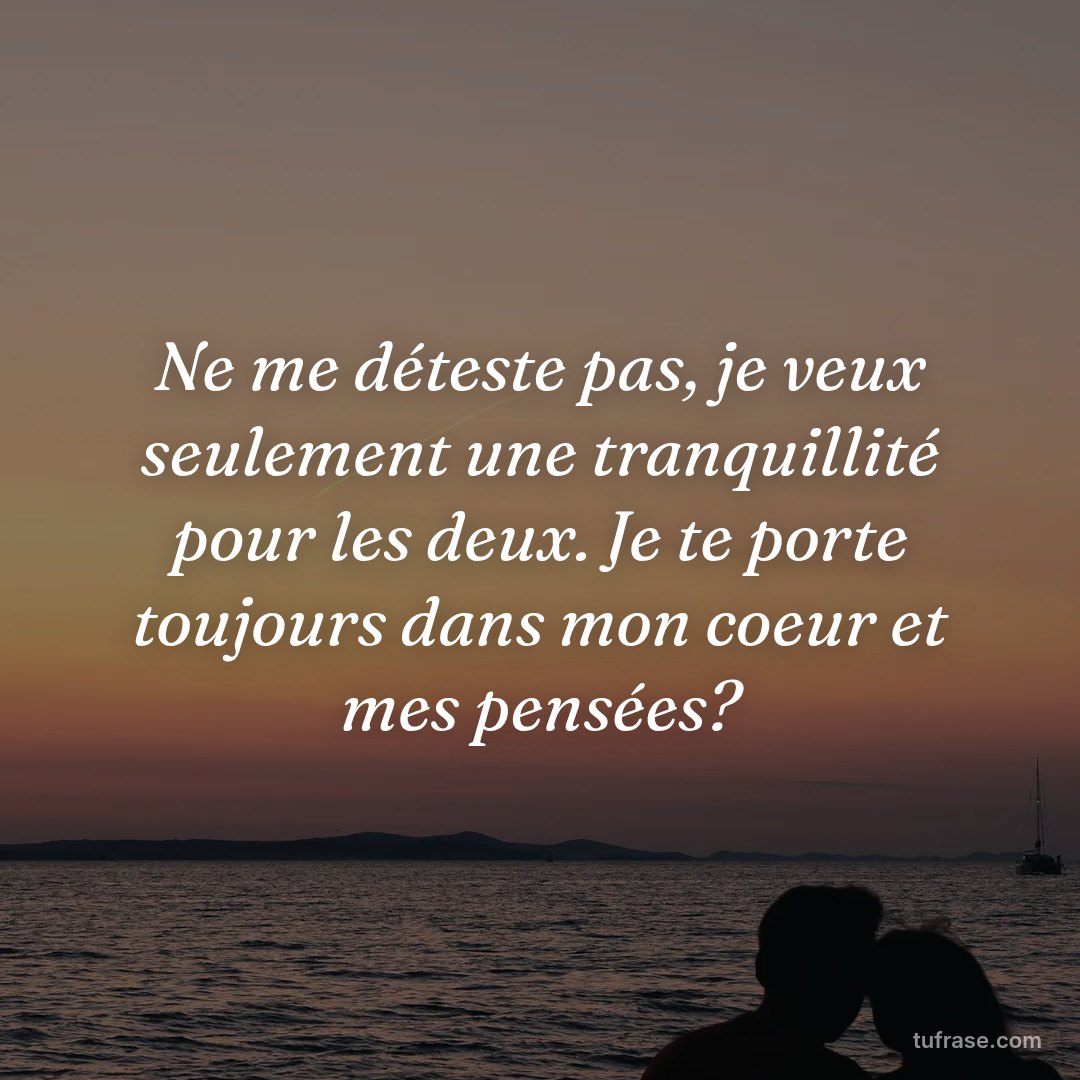 Ne me déteste pas, je veux seulement une tranquillité pour les deux. Je te porte toujours dans mon coeur et mes pensées?