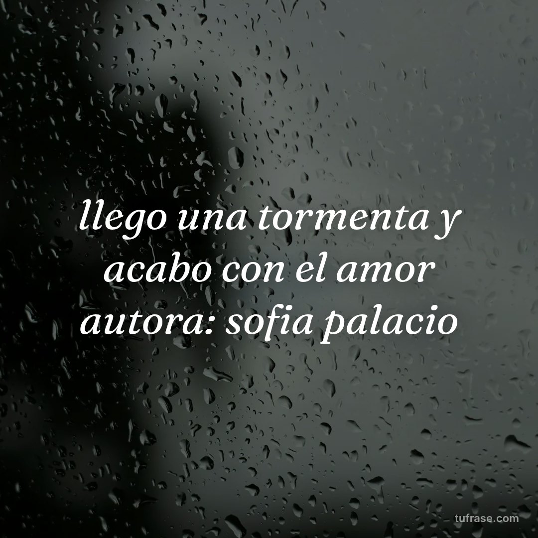 llego una tormenta y acabo con el amor autora: sofia palacio