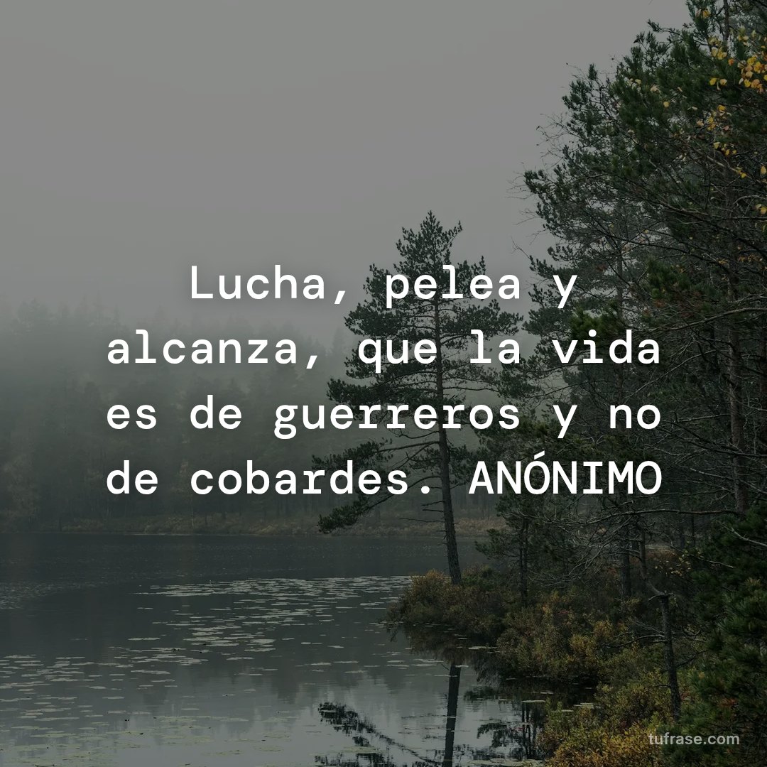 Lucha, pelea y alcanza, que la vida es de guerreros y no de cobardes. ANÓNIMO