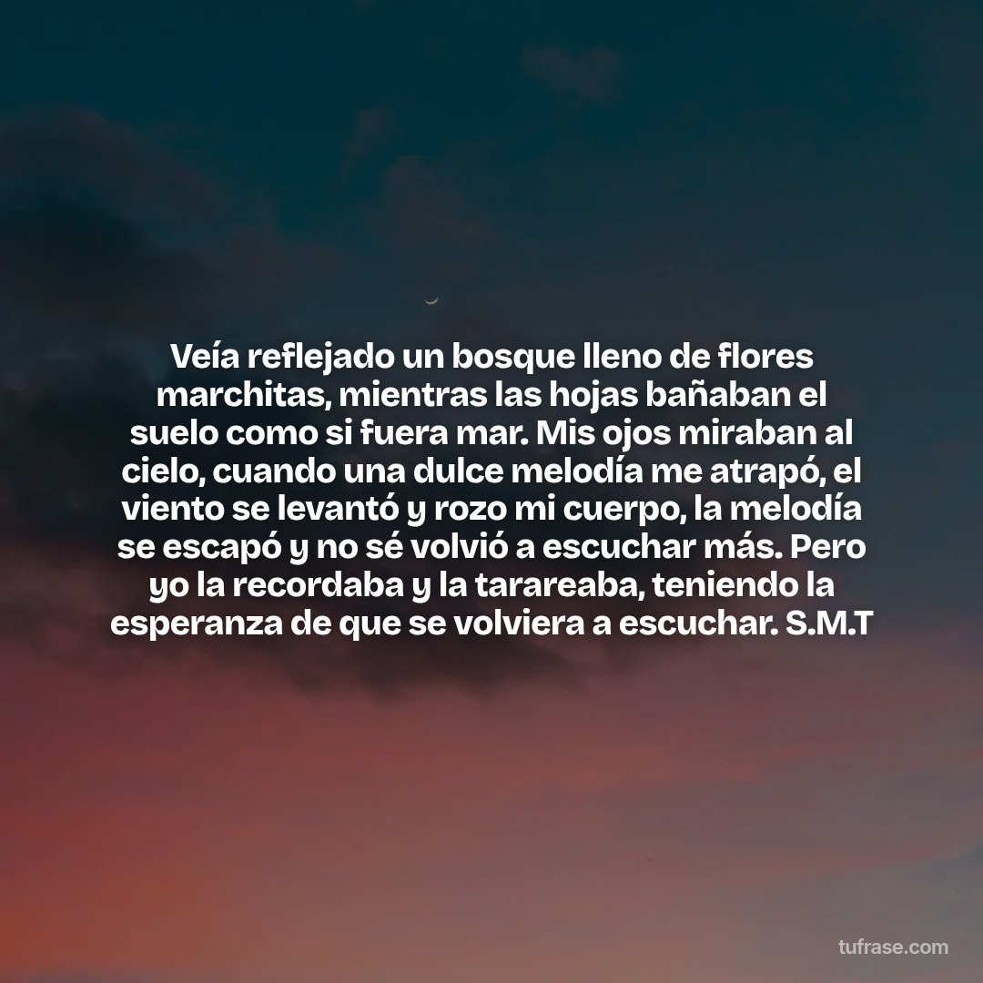Veía reflejado un bosque lleno de flores marchitas, mientras las hojas bañaban el suelo como si fuera mar. Mis ojos miraban al cielo, cuando una dulce melodía me atrapó, el viento se levantó y rozo mi cuerpo, la melodía se escapó y no sé volvió a escuchar más. Pero yo la recordaba y la tarareaba, teniendo la esperanza de que se volviera a escuchar. S.M.T
