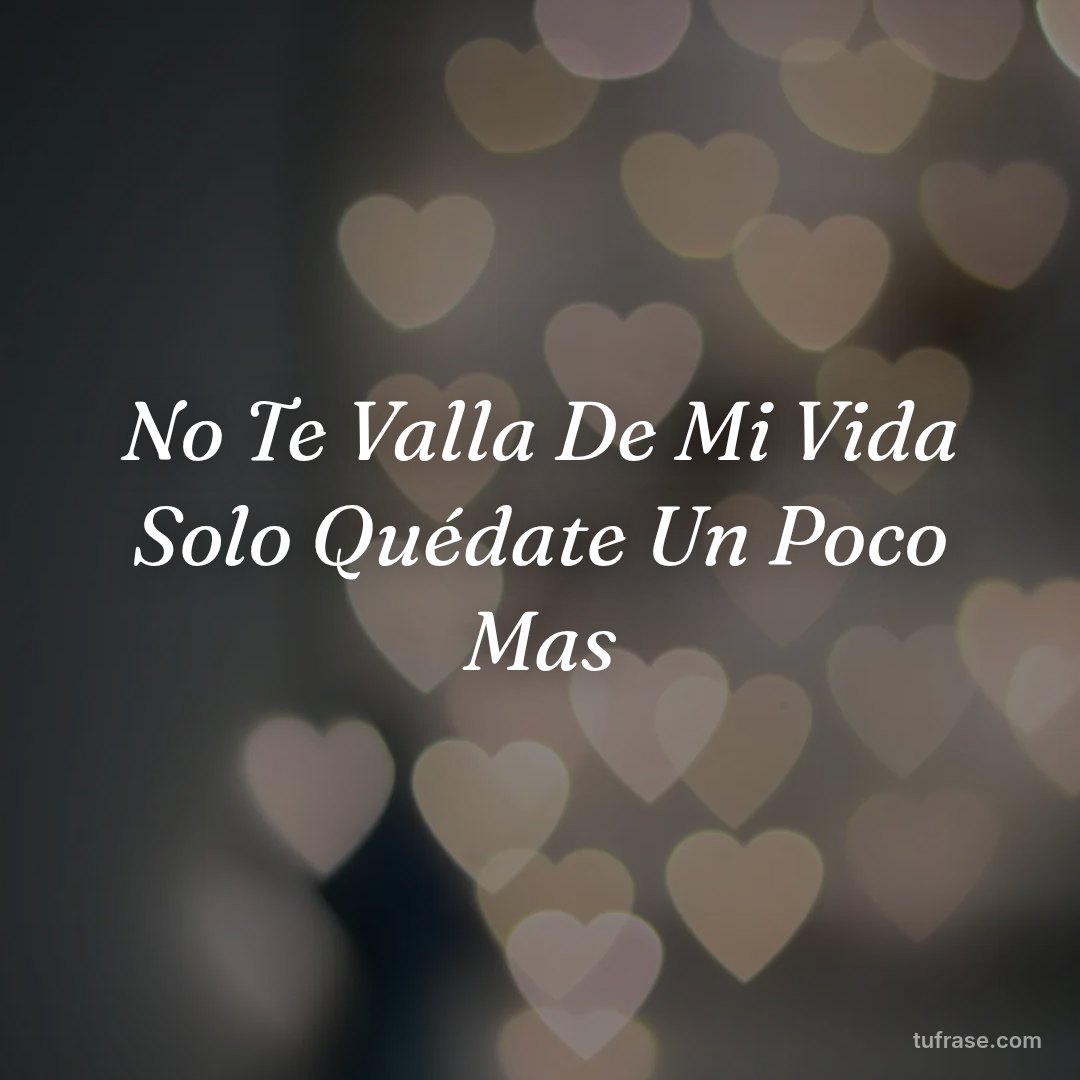 No Te Valla De Mi Vida Solo Quédate Un Poco Mas