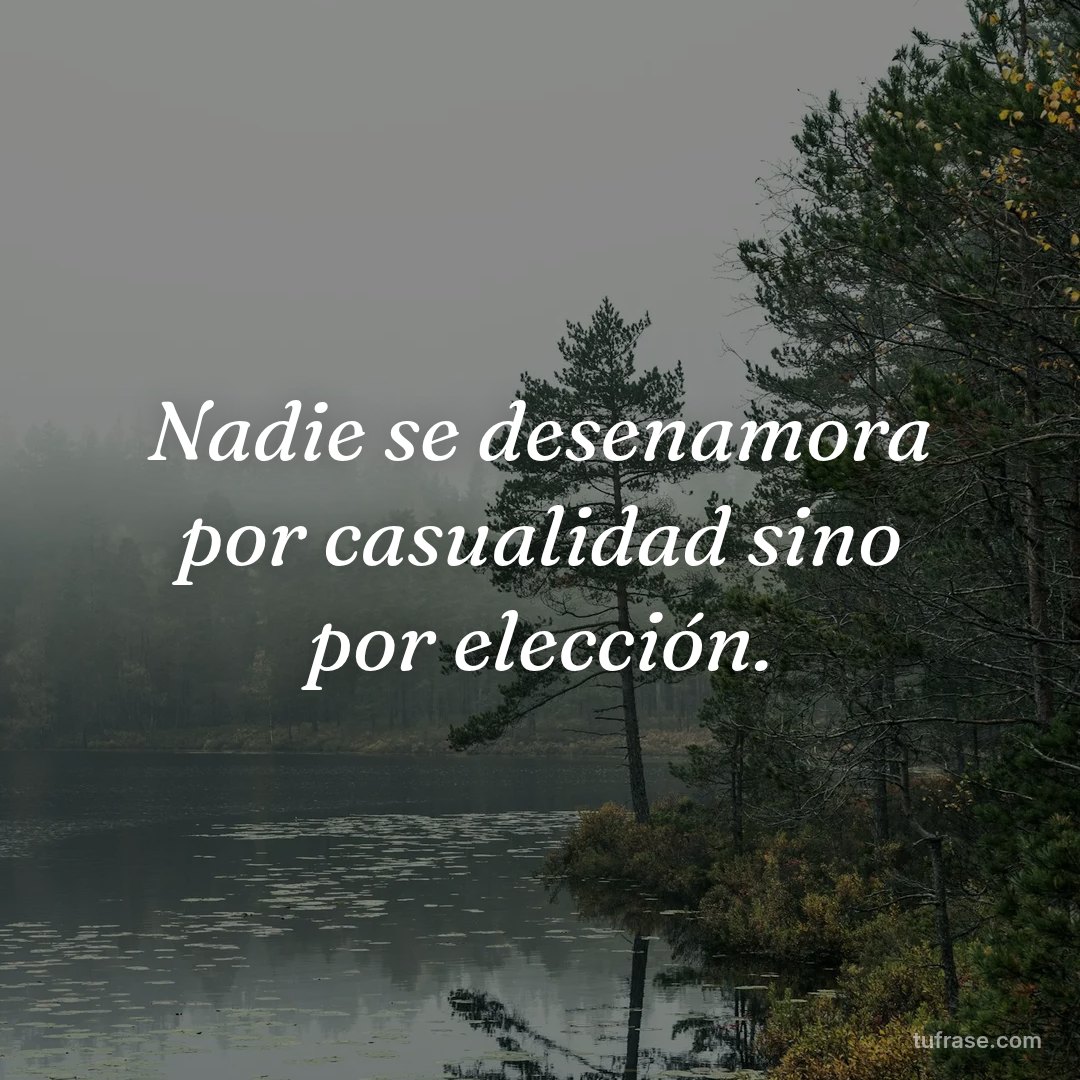 Nadie se desenamora por casualidad sino por elección.