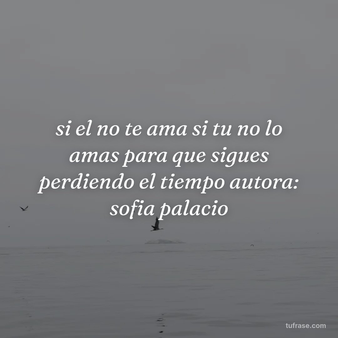 si el no te ama si tu no lo amas para que sigues perdiendo el tiempo autora: sofia palacio