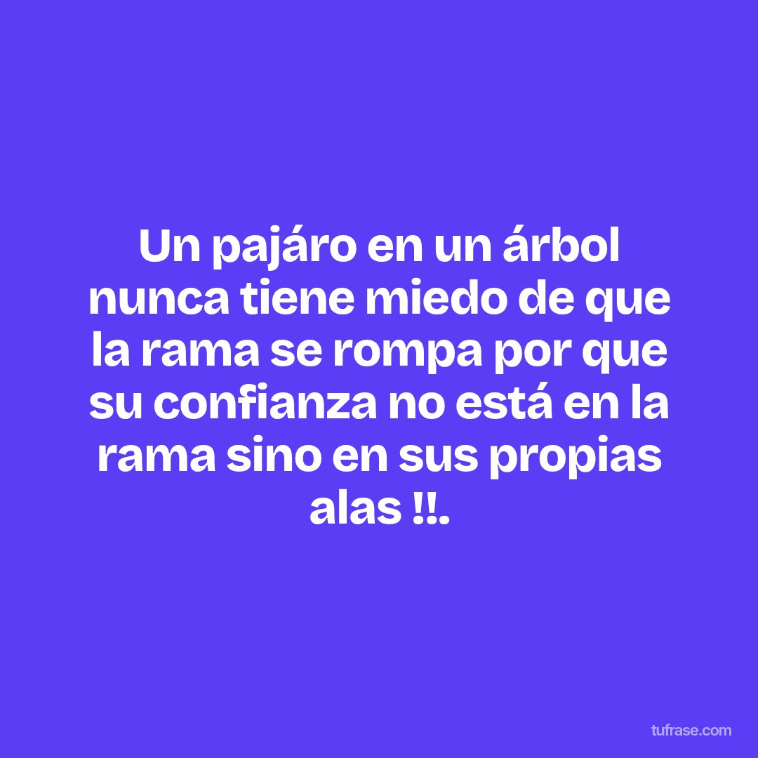 Un pajáro en un árbol nunca tiene miedo de que la rama se rompa por que su confianza no está en la rama sino en sus propias alas !!.