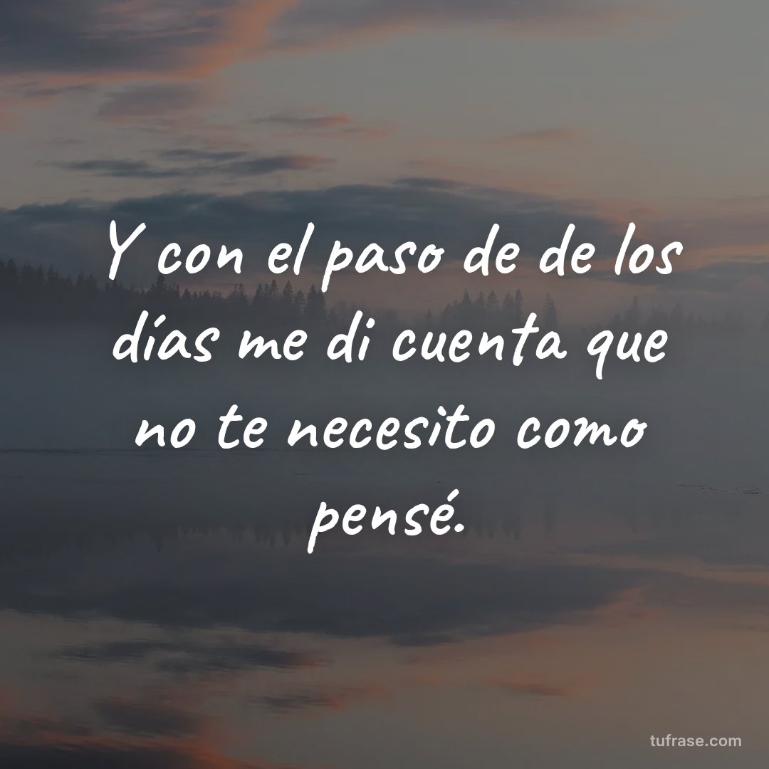 Y con el paso de de los días me di cuenta que no te necesito como pensé.