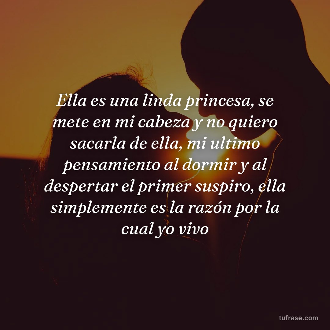 Ella es una linda princesa, se mete en mi cabeza y no quiero sacarla de ella, mi ultimo pensamiento al dormir y al despertar el primer suspiro, ella simplemente es la razón por la cual yo vivo