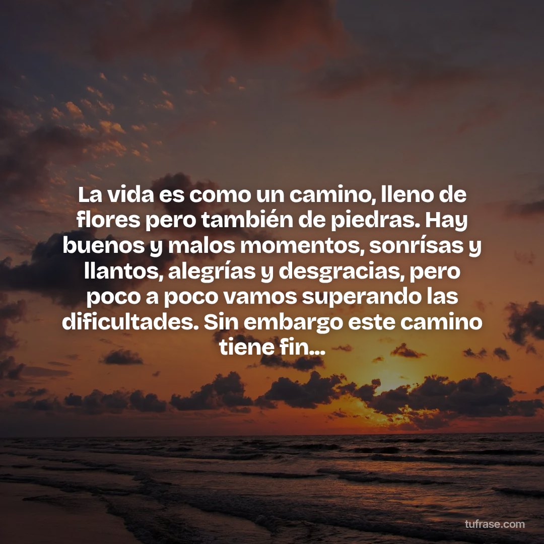 La vida es como un camino, lleno de flores pero también de piedras. Hay buenos y malos momentos, sonrísas y llantos, alegrías y desgracias, pero poco a poco vamos superando las dificultades. Sin embargo este camino tiene fin...