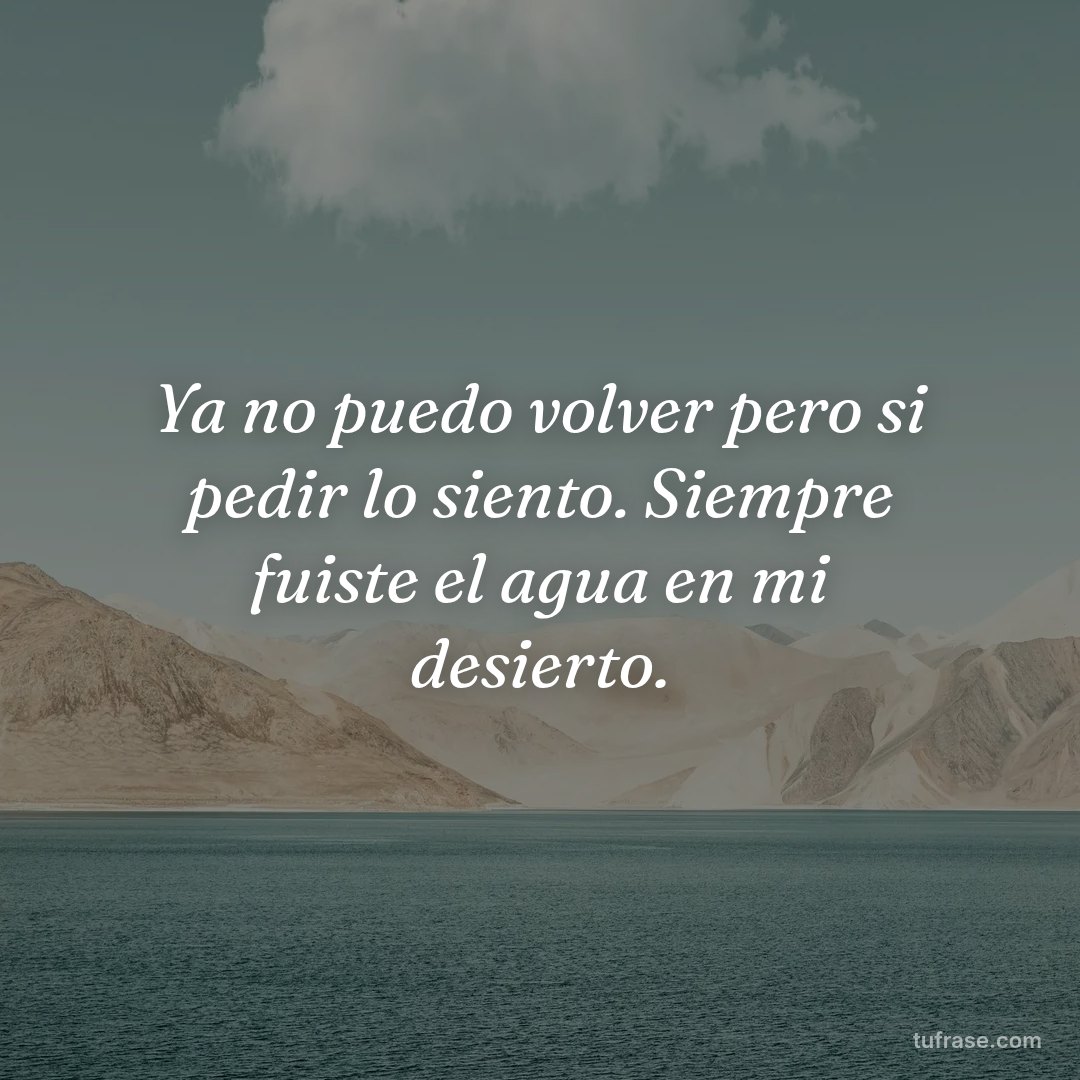 Ya no puedo volver pero si pedir lo siento. Siempre fuiste el agua en mi desierto.