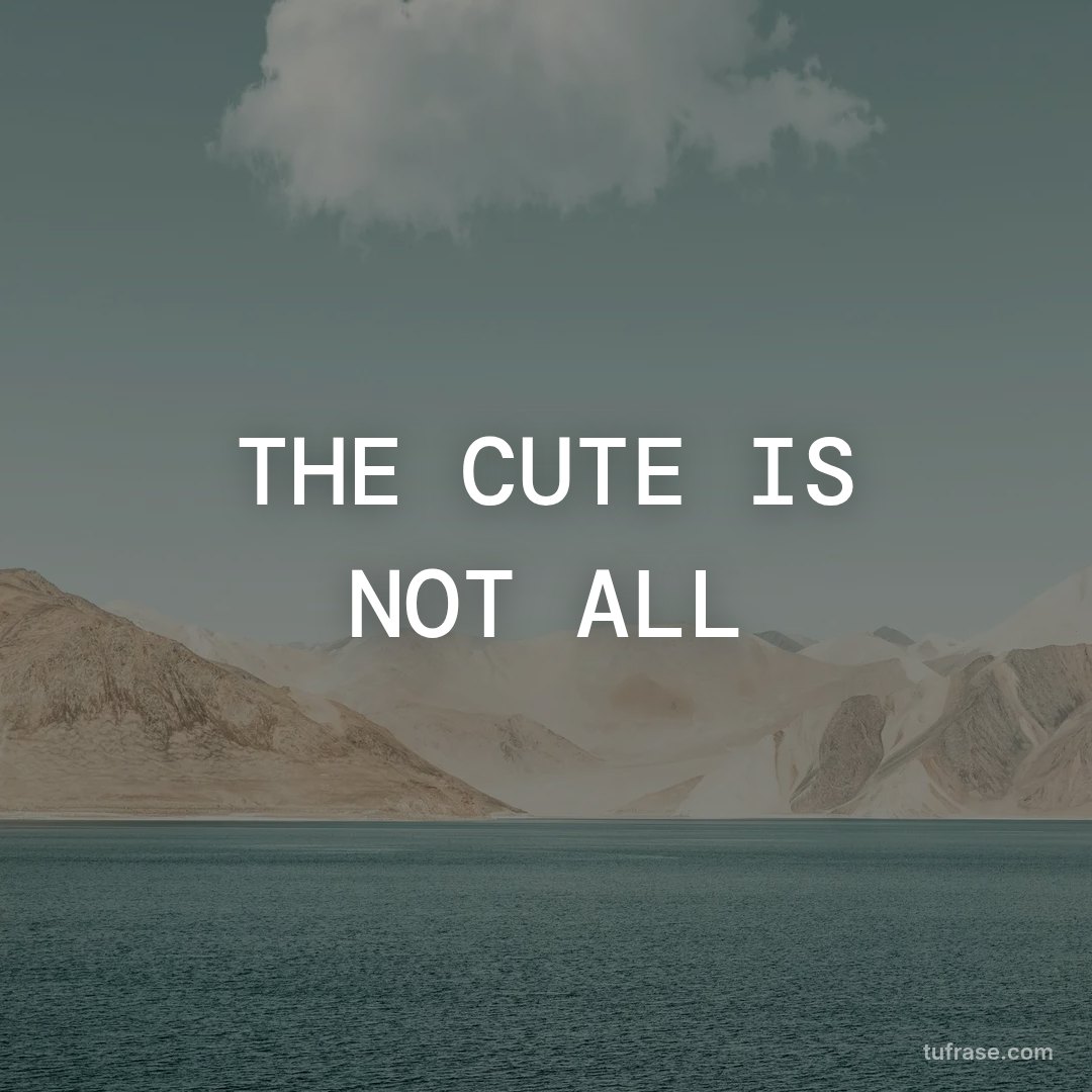 THE CUTE IS NOT ALL