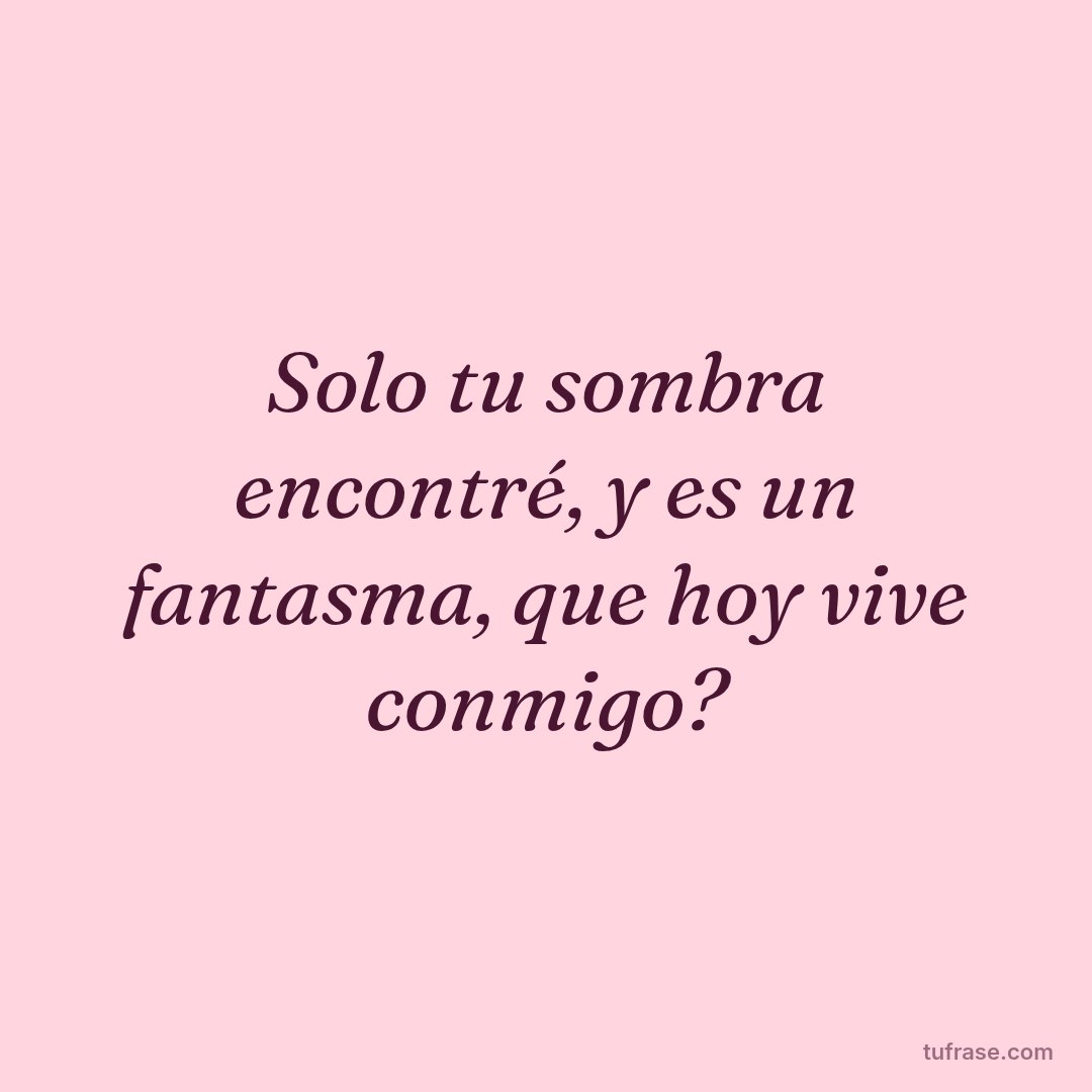 Solo tu sombra encontré, y es un fantasma, que hoy vive conmigo?