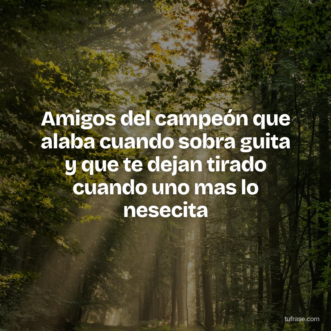 Amigos del campeón que alaba cuando sobra guita y que te dejan tirado cuando uno mas lo nesecita