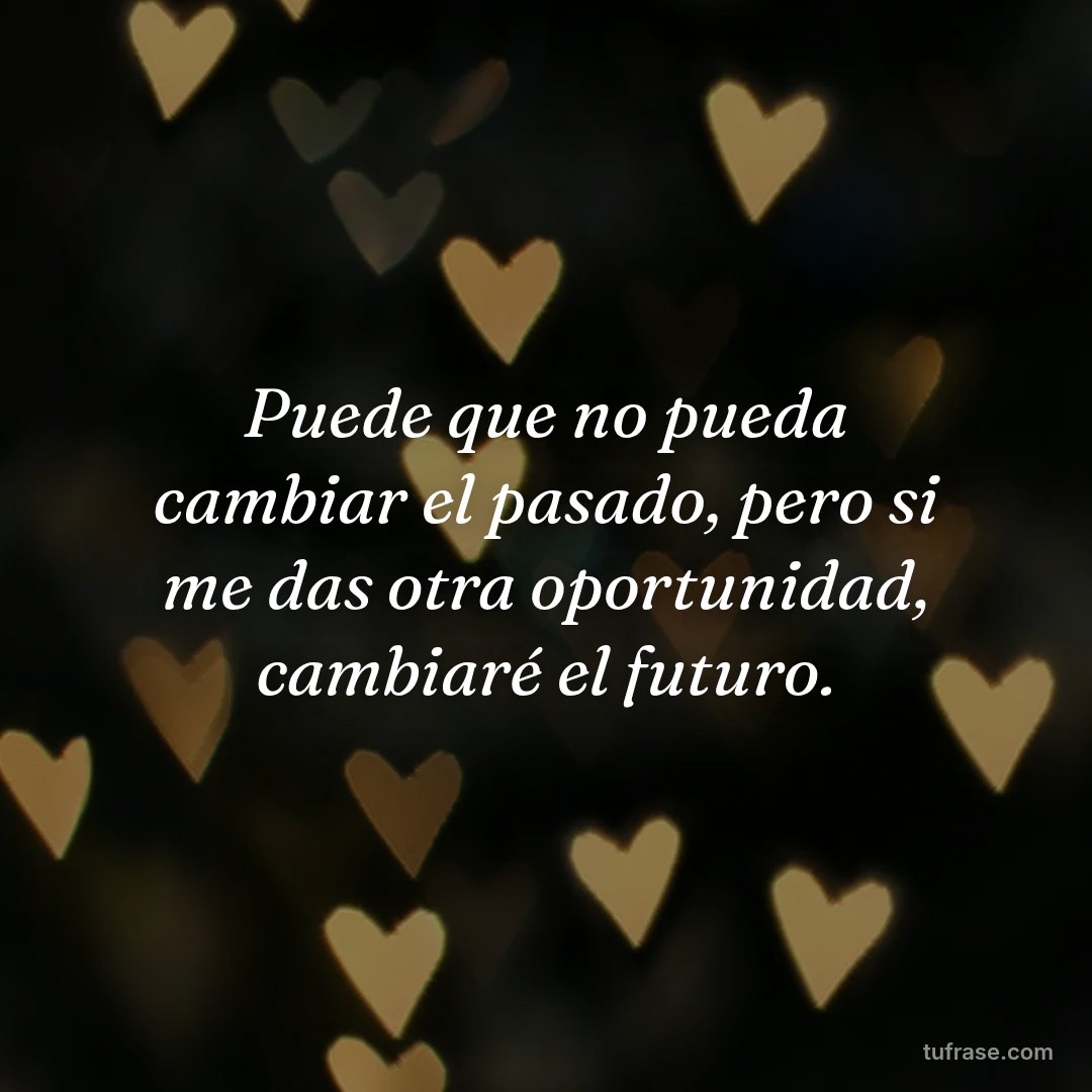 Puede que no pueda cambiar el pasado, pero si me das otra oportunidad, cambiaré el futuro.