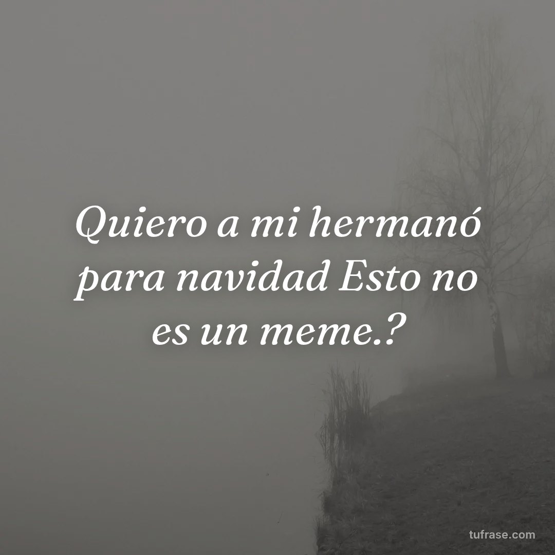 Quiero a mi hermanó para navidad Esto no es un meme.?
